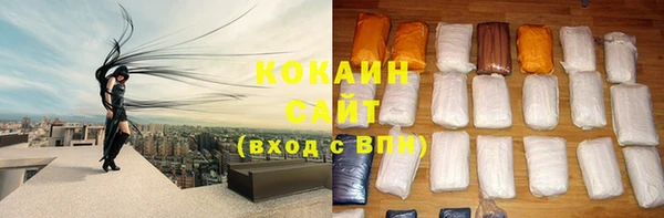 индика Белокуриха