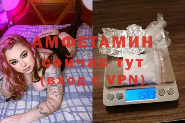 индика Белокуриха