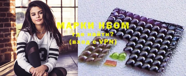индика Белокуриха