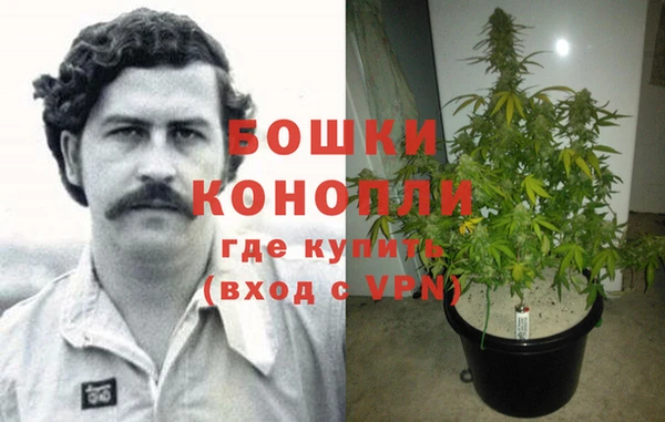индика Белокуриха