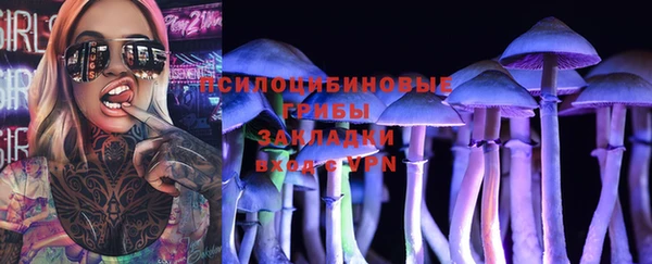 гашик Беломорск
