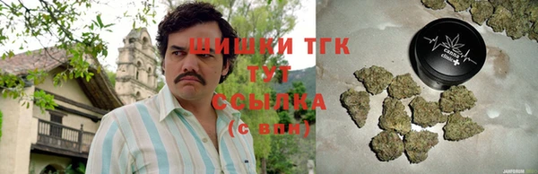 индика Белокуриха