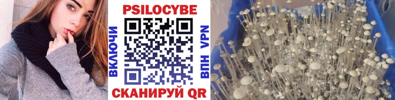 Псилоцибиновые грибы Psilocybine cubensis kraken как войти Волчанск